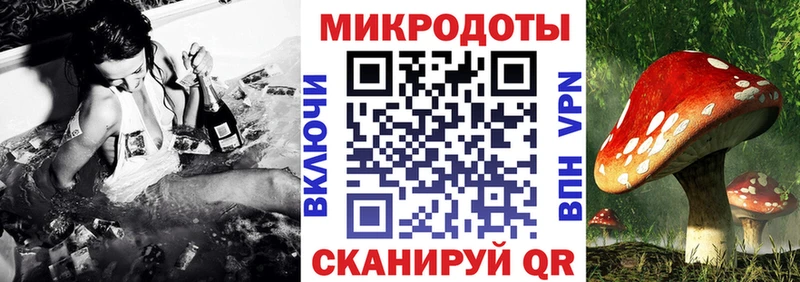 Купить где  Кунгур  Галлюциногенные грибы Cubensis 